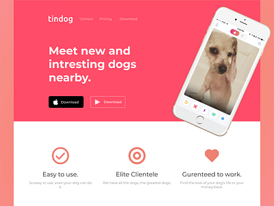 Tindog landing page ui uiux design ux