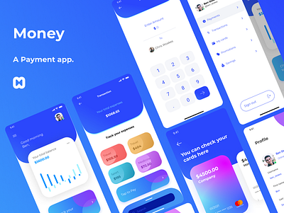 Money (A Payment app.) branding mobile app ui uiux design ux