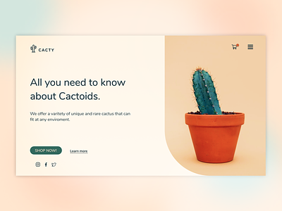 Cactus Shop - Simplicity UX Design cactus design freelance graphic design shop ui ux ux design uxdesign web web design webdesign website