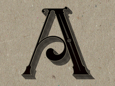Procreate Lettering font lettering procreate type design typography victorian vintage