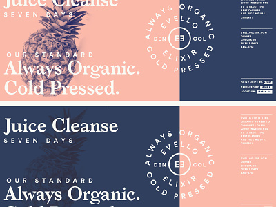 Cleanse & Juice badge branding grids illustration lines logo packaging pattern system typography