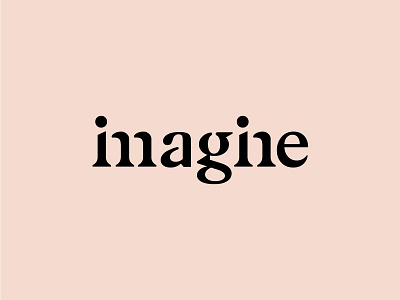 Imagine wordmark agency brand digital imagine logo logotype serif type typography wordmark