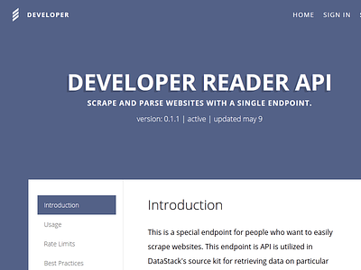 Developer API Documentation api design documentation flat readme