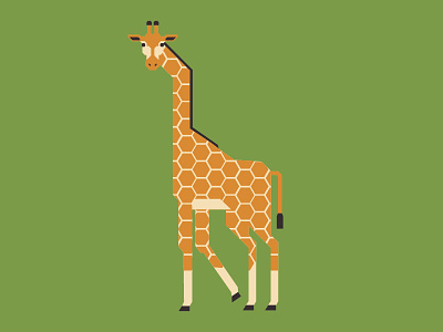 Giraffe cofee girrafe map