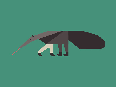 Anteater