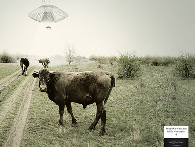 Out of This World - COW ads best brand branding concept creative design designs lamp print