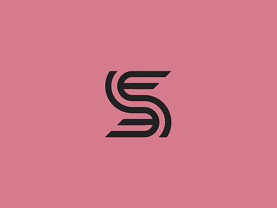 S Variation 2 branding graphic design logo design