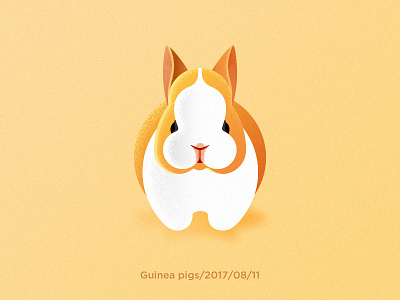 Guinea Pigs guinea pigs，animals，illustrations