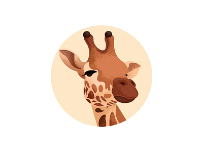 Giraffe illustration animal giraffe illustration