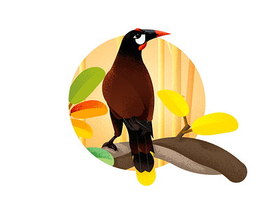 Bird Illustration