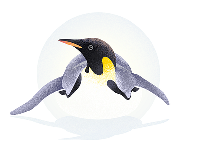 Penguin illustration