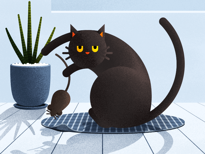 A cat that has been catching mouse by Seydian on Dribbble