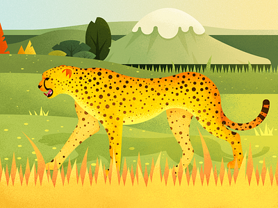 A Leopard On The Grassland grassland ios11 iphone x leopard