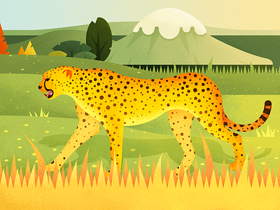 A Leopard On The Grassland