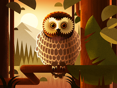 Owl in the forest bird forest illustration ios11 iphone x owl sun sunrise