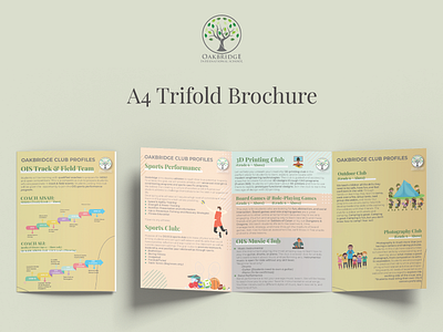 Trifold Brochure branding brochure creative design design graphic design illustration trifold brichure vector