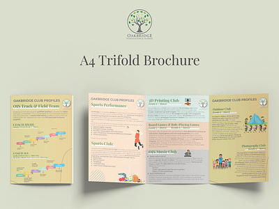 Trifold Brochure