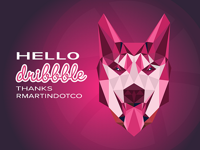 Hello Dribbble! debut poly