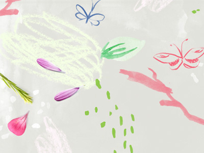 Background background butterfly illustration petal