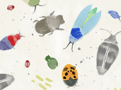 Bugs background beetle bug illustration pattern