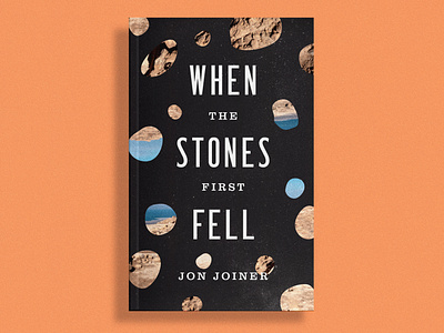 When The Stones First Fell Book Cover