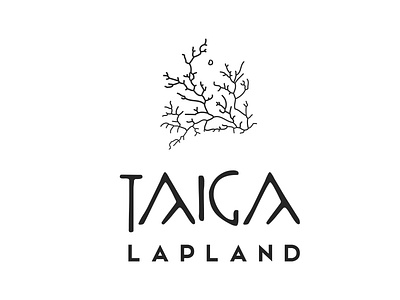 TAIGA Lapland