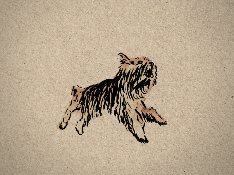 Pants Run animation dog illustration puppy run watercolor yorkie