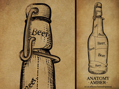 Anatomy Amber Beer Label anatomy beer label