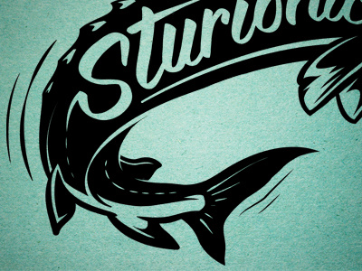 Sturionic fin fish illustration script sturionic type