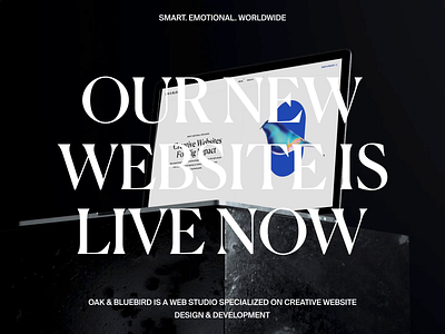 Oak & Bluebird's website is live now animation announce clean design interface layout minimal studio ui ux website