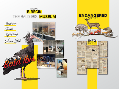 Bald Ibis Museum - Illustration, Digital Art, Diorama art artwork branding design digital art digital painting diorama illustration print design ui