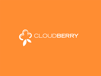 Cloudberry berry cloud fruit leaf plant