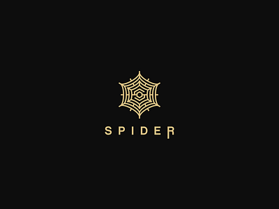 Spider hexagon insect logo mark net s spider web