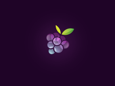 Berry berry circles fruit leaf logo symbol transparency