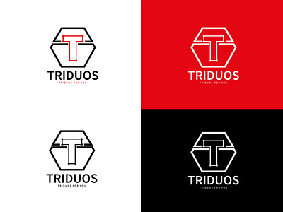 Monogram Logo Design ( Presentation )