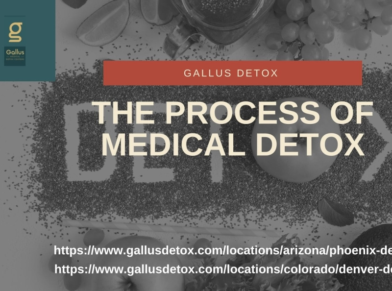 The Process of Medical Detox by Gallus Detox on Dribbble