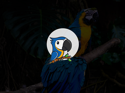 Parrot Treasures logo design design logo macaw mascot parrot