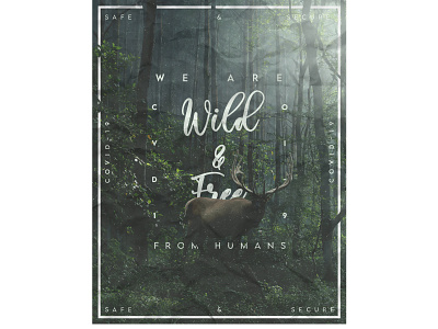 Wild and Free Concept Poster design graphic design typography