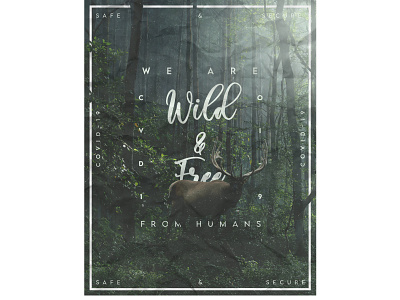 Wild and Free Concept Poster