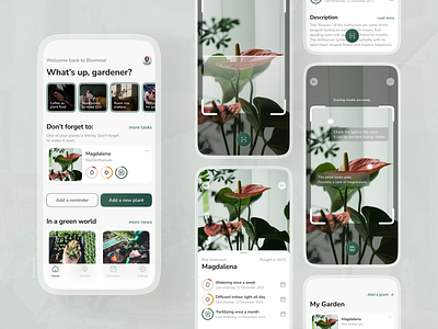 Plants Care App | iOS Concept app care design flower ios mobile plant plants product design ui ux