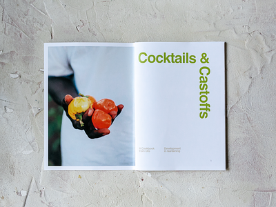 Cocktails & Castoffs Cookzine, Issue 03 atlanta book book design cocktails cookbook food recipe recipes zine