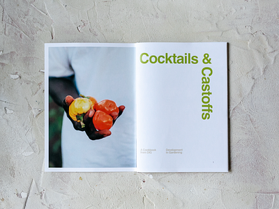 Cocktails & Castoffs Cookzine, Issue 03
