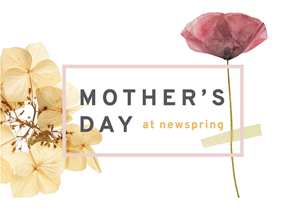 Mother's Day 2016 flowers moms motherhood mothers mothers day overpass overpass font pressed flowers