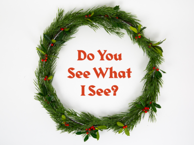 Do You See What I See II