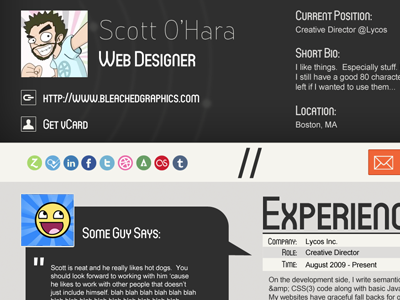 Resume Snapshot design resume template web