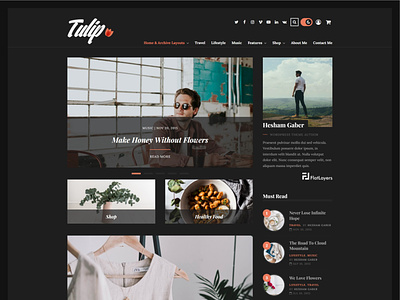 Tulip - Responsive WordPress Blog Theme / Dark Mode blog dark design envato theme themeforest typography ui ux web webdesign website wordpress