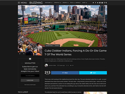 BuzzMag - Viral News WordPress Magazine/Blog Theme - Dark Mode blog dark design envato news theme themeforest typography ui ux web design website wordpress