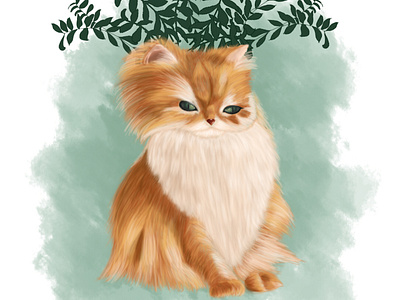 Gato Naranja gato illustration illustration art ilustración