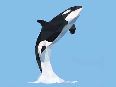 Killer Whale Low Poly