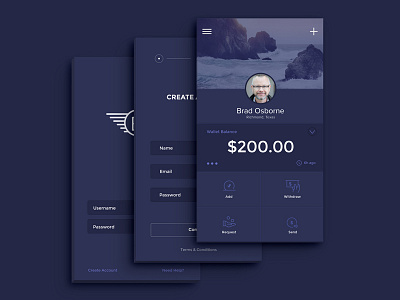 Payment App UI app login mobile payment premium ui user wallet